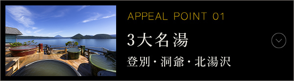 APPEAL POINT 01 3大名湯 登別・洞爺・北湯沢