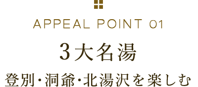 APPEAL POINT 01 3大名湯 登別・洞爺・北湯沢を楽しむ