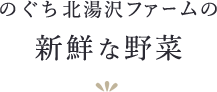 のぐち北湯沢ファームの新鮮な野菜